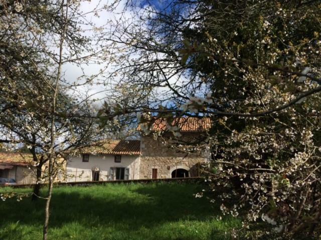 La Grange Du Lac De Cantales Lacapelle-Viescamp Εξωτερικό φωτογραφία